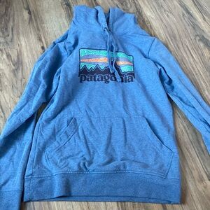 Patagonia blue hoodie